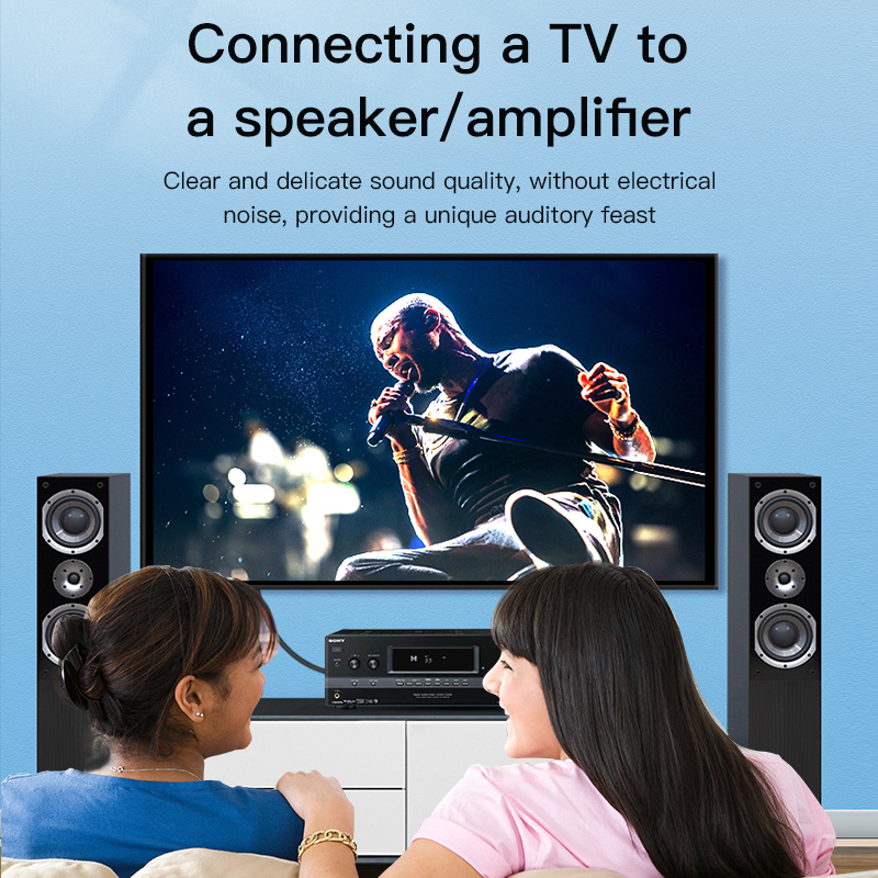 CHOSEAL RCA Cable Digital Coax - Home Cinema Tv recension och pris